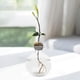 thumbnail image 1 of Florero iniciador de brotes de semillas de aguacate, Terrario de plantas, tarro de propagación de plantas de agua, florero de vidrio transparente para oficina, jardín y mujeres Estilo B, 1 of 8