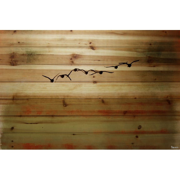 Parvez Taj Sun Flight Pinewood Wall Art