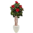thumbnail image 1 of Arbre à Hibiscus de 4,5 Pi dans un Vase Ovale Blanc, 1 of 1