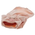 thumbnail image 4 of Visland Cat Dog Hoodie Costume, Cute Funny Pig Shape Soft Thicken Plush Winter Warm Pet Coat Clothes for Puppy Party Festival Cosplay Daily Wear, 4 of 7