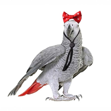 Pet Bird Bow Headband Accessory Small Pet Supplies for Daily Decoration and Photo Prop Cute Costume for Parrot Budgie Cockatiel