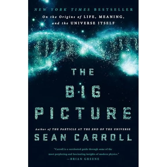 Pre-Owned The Big Picture: On the Origins of Life, Meaning, and the Universe Itself Hardcover