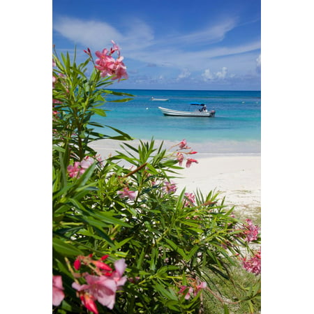 Long Bay and Beach, Antigua, Leeward Islands, West Indies, Caribbean, Central America Print Wall Art By Frank (Best Caribbean Island For Americans To Live)