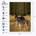 thumbnail image 2 of ABPHOTO Polyester 5x7ft Stopped Zebras Backdrop Outdoor Travel Photography Background Studio Props, 2 of 5