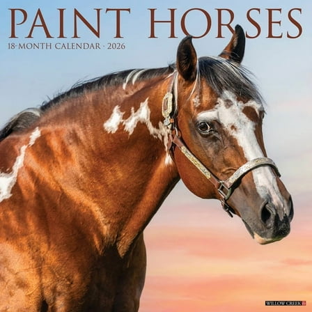 Paint Horses 2026 Wall Calendar, (Paperback)
