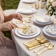 thumbnail image 6 of Exquisite 240 Piece Pomegranate Design Disposable Plastic Dinnerware Combo Set, Serves 40 Guests, 6 of 10