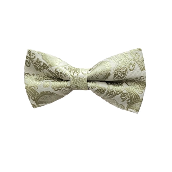 Men High Grade Colorful Paisley Bowtie Wedding Party Formal Business Bow Tie