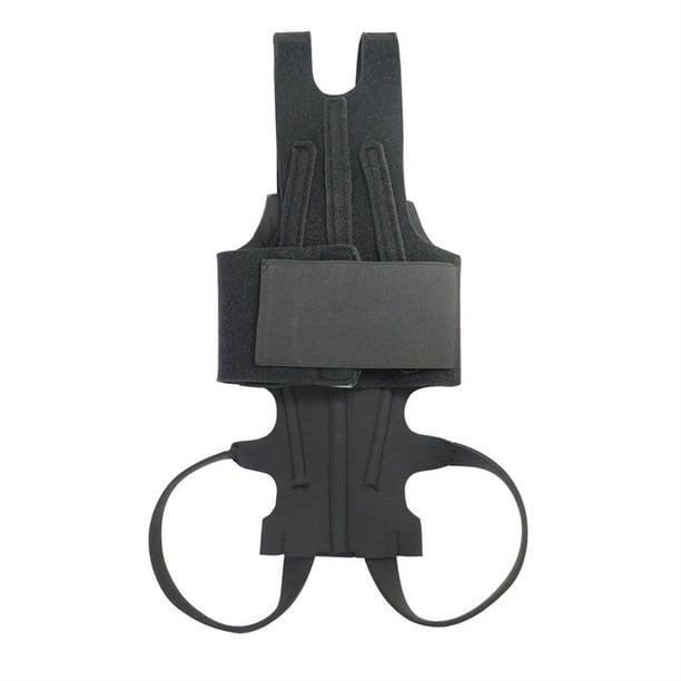 Dog back brace best sale ivdd