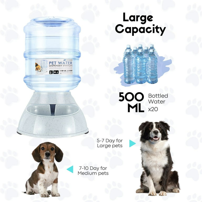 How to Make a Simple Gravity Water Dispenser for Your Pets! 