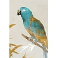 thumbnail image 2 of Isabelle Z 23x32 White Modern Wood Framed Museum Art Print Titled - Blue Parrot II, 2 of 4