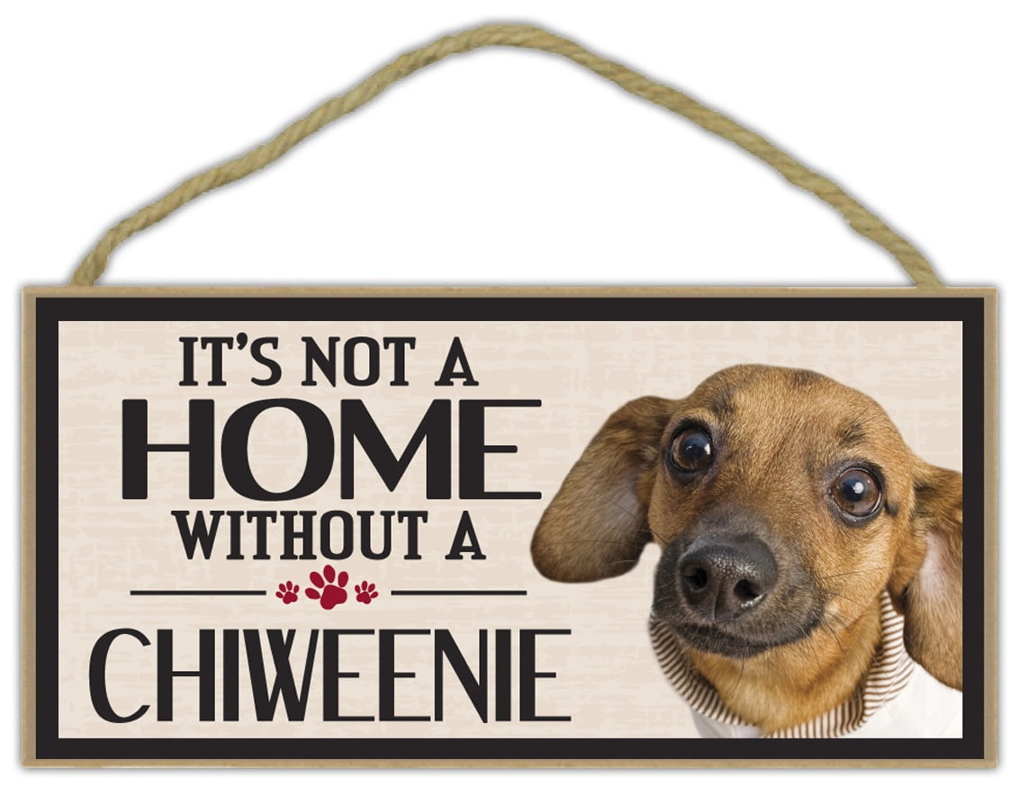 chiweenie plush