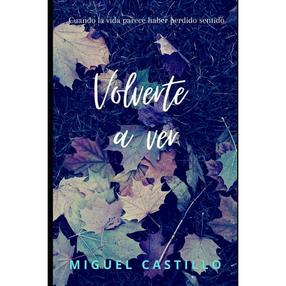 Volverte a ver (Paperback)