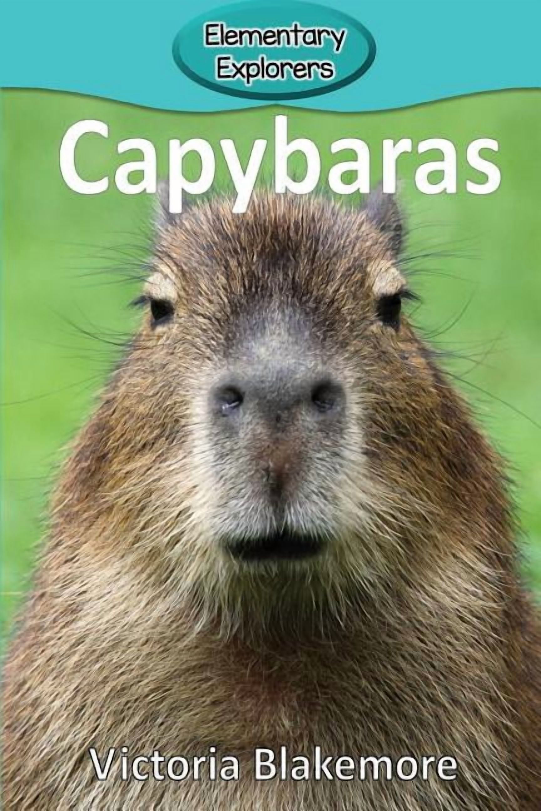 Capy Capybara Capybara Zen: A Story and Coloring Book, (Paperback