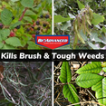 BioAdvanced Brush Killer Plus, ReadytoUse, 1 gal, Kills Poison Ivy