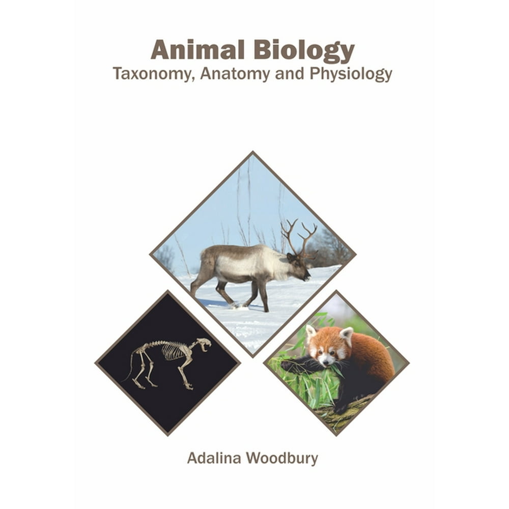 Animal Biology Taxonomy, Anatomy and Physiology (Hardcover) Walmart