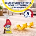 thumbnail image 6 of Resolve Pet Specialist Urine Destroyer Carpet Cleaner Spray –  Urine Eliminator for Pet Stains & Odors Up to 7 Days Old, 22oz, 6 of 10