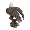 thumbnail image 3 of Hi-Line Gift Ltd. Bald Eagle On Stump W/Wings Out Statue, 3 of 4