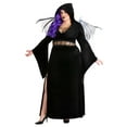 thumbnail image 1 of Plus Size Winged Reaper Costume for Women, 1 of 1