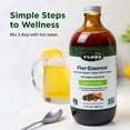 thumbnail image 5 of Flora Health Flor-Essence with Turkey Tail & Turmeric, Rich in Polysaccharides, 35+ Phenolic Compounds with Antioxidants and Immunity Support, 17-fl. oz. Glass Bottle, 5 of 7