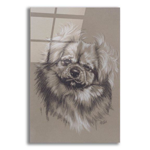 Epic Art 'Tibetan Spaniel' by Barbara Keith, Acrylic Glass Wall Art, 16"x24"