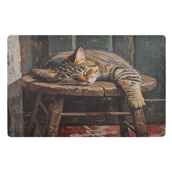 BZSMCE Floor Mats 32x20in Sleeping Cat Painting Creativity Doormats
