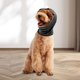 thumbnail image 1 of unbranded Orejeras Para Perro De Negro Con Protección Ruido Y Elástico Para Cuidado Y, 1 of 8