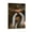 Frame-style, variant on Doechii Rap Cool Art Poster Gifts Canvas Painting Poster Wall Art Decorative Picture Prints Modern Decor 12x18inch(30x45cm)