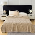 thumbnail image 4 of AuroraX Floral Bed Blanket Twin/Twin-Xl Size Cute Soft Brushed Microfiber Throw Blankets Cozy Breathable Warm Lightweight Tufted Blankets for Bedroom Dorm Sofa All-Season,Khaki, 4 of 6