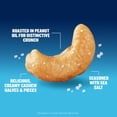 thumbnail image 6 of Planters Salted Cashew Halves & Pieces, 5g (8% DV) Plant-Based Protein Snacks for Adults, Gluten Free, Kosher, 26 oz Resealable Jar, 6 of 12