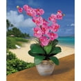 thumbnail image 2 of Nearly Natural Double Phalaenopsis Artificial Orchid Flower Arrangement, Dark Pink, 2 of 2