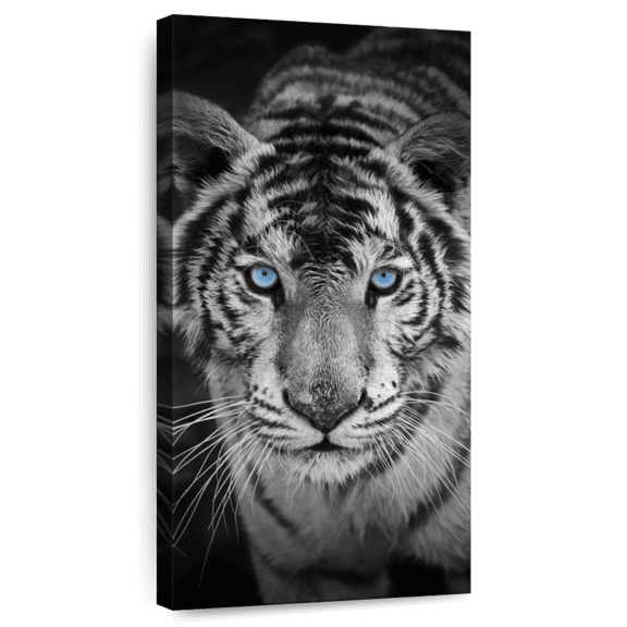 Elephant Stock Blue Eye Tiger Wall Art - Animal Canvas Canvas - 12" x 24"