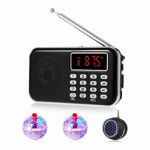 4 Pcs Spirit Box Equipment Kit,with 2 LED Cat Ball 1 Spirit Box Speaker Paranormal Equipment Kit for Home Office Outdoor