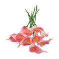 thumbnail image 6 of AFQH 10pcs Artificial Calla Lily Flowers for Chic and Elegant Arrangements 34cm, 6 of 11