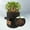 Black, variant on 1 Pcs 7 Gallon Growing Bag Easy To Planter Pot With Flap And Handles Garden Planting Bags For Potato Tomato And Other Vegetables Breathable Fabric Cloth
