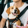 thumbnail image 4 of Secure Adjustable Pet Vehicle Belt with Elastic Reflective Bungee Leash for Travel Comfort, 4 of 4
