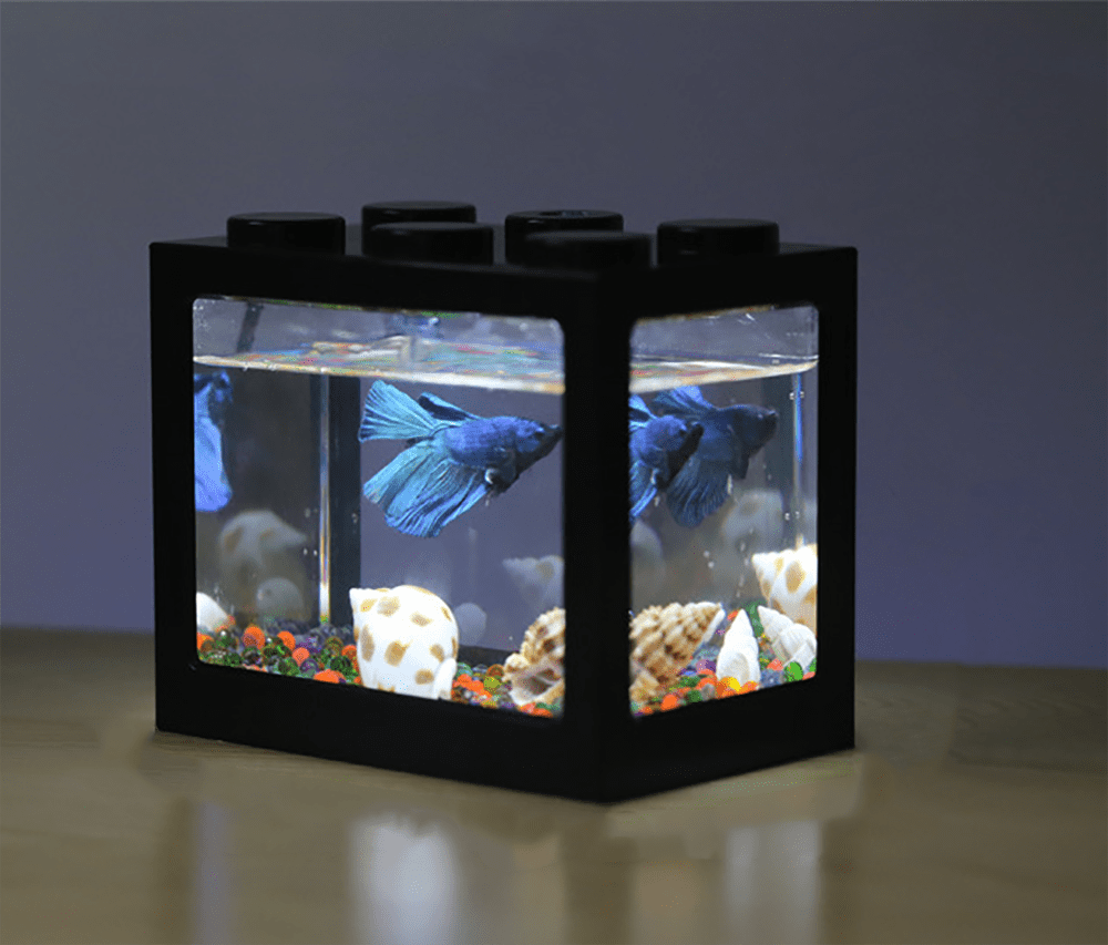 small betta tank