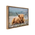 thumbnail image 4 of Stupell Industries Cattle Resting in Nature Animals & Insects Photography Brown Floater Framed Canvas Art Print Wall Art, 31 x 25, 4 of 10