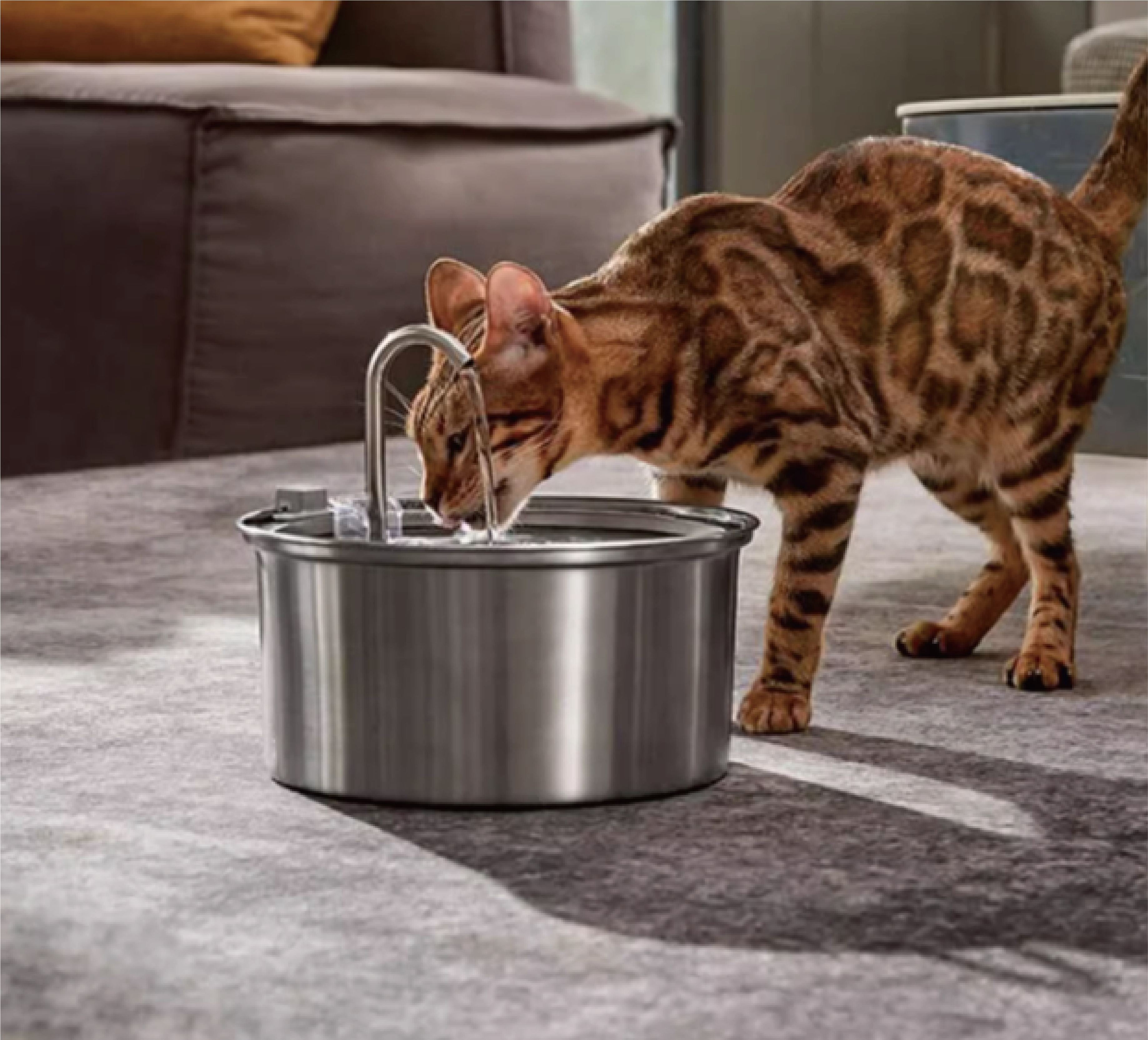 Xalmino Pet water fountains being dishes,Stainless Steel Cat Water Fountain, 85oz/2.5L Pet Water Fountain with Water Level Window, Ultra Quiet Pump, Dishwasher-Safe Design for Cats, Dogs and Pets