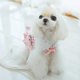 thumbnail image 5 of Princess Small Dog Cat Harness Leash Set Lace Pet Vest With Flower Outdoor Puppy Cute Training Accessories Kittens Supplies ShopWise Round, 5 of 7