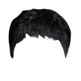 thumbnail image 1 of Perruques Droites pour Femmes Courte Laye Perruque Courte Noire Ondulée Superposée Perruque Cheveux Humains Courte pour Femmes Noires, 1 of 8