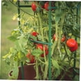 thumbnail image 4 of TABLZONE 12Ud Soportes Duraderos Para Y Vegetales Con Brazos Ajustables, 4 of 8