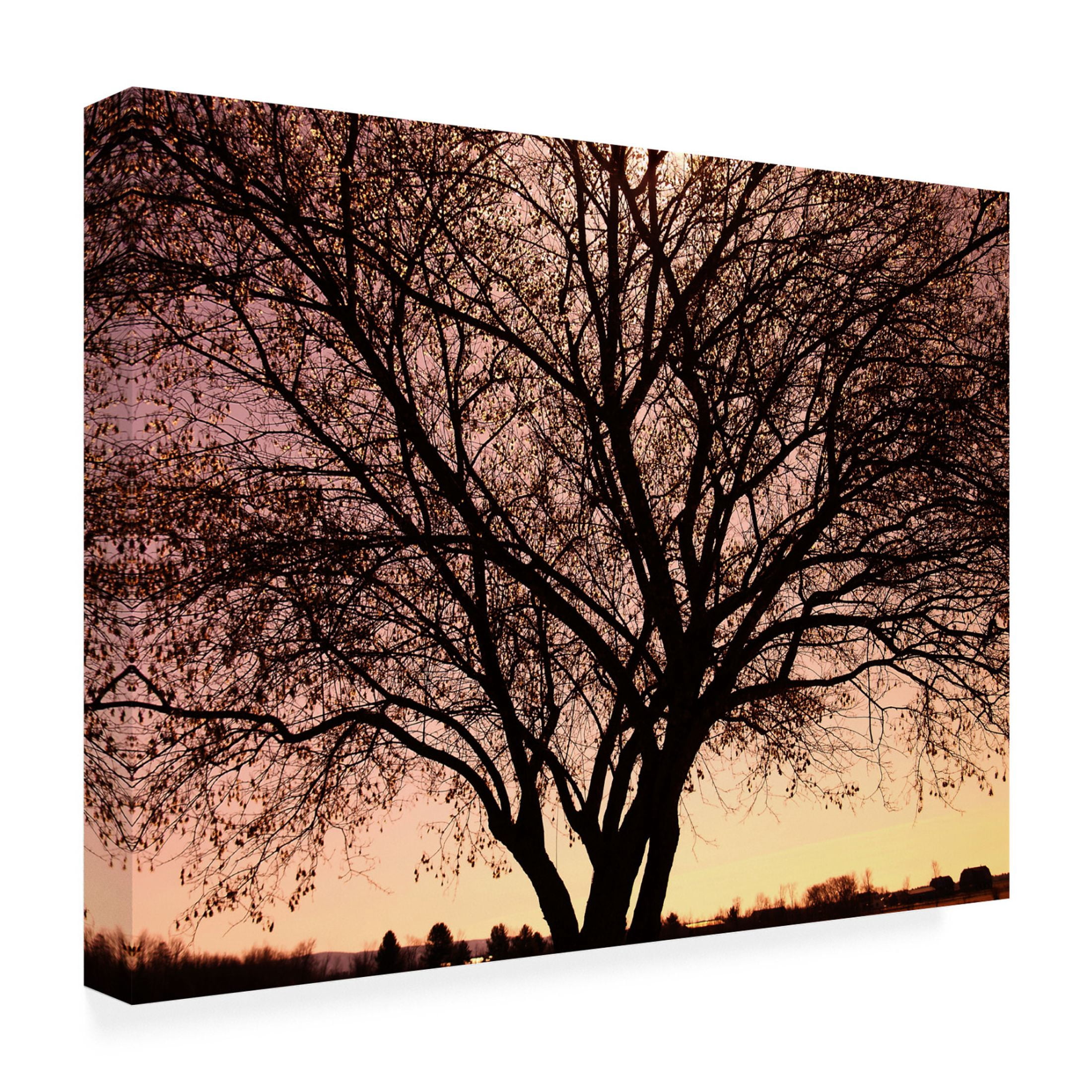 Canvas Wall Art - Clive Branson 'Tree At Chuck' Wall Art for Living Room, Bedroom, or Office Décor by Trademark Fine Art - 19 x 14 Inches