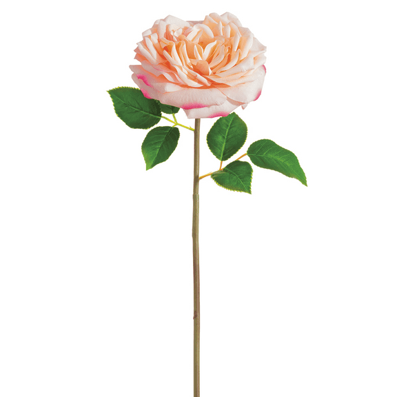 Park Place - 12 Piece Open Cabbage Rose Spray 20" Pink