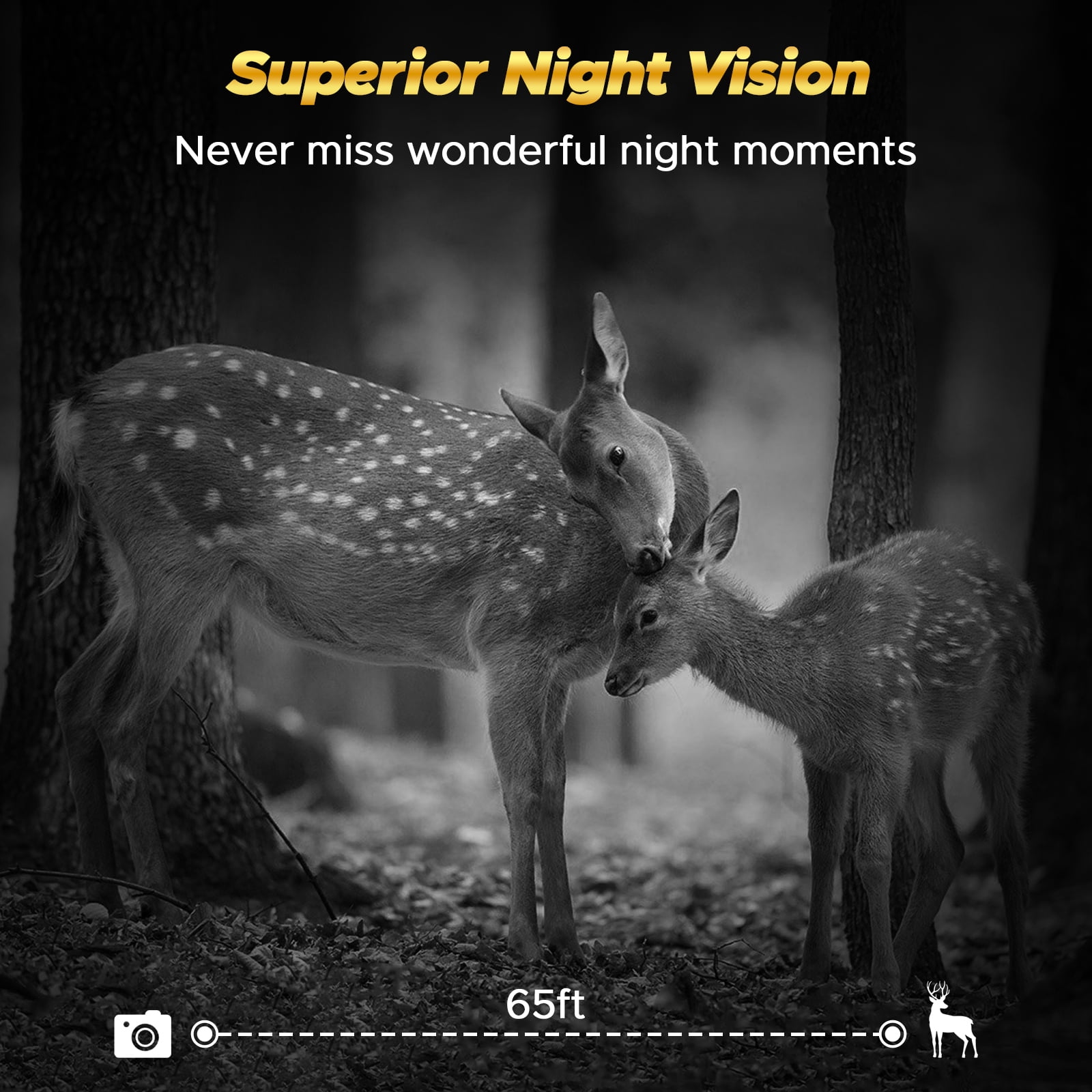 CAMPARK 4G 1080P Live Cellular Trail Cameras, App Control Built-in SIM&SD Card Hunting Game Camera with Motion Alerts,Low Glow Night Vision IP66 Waterproof for Wildlife Monitoring