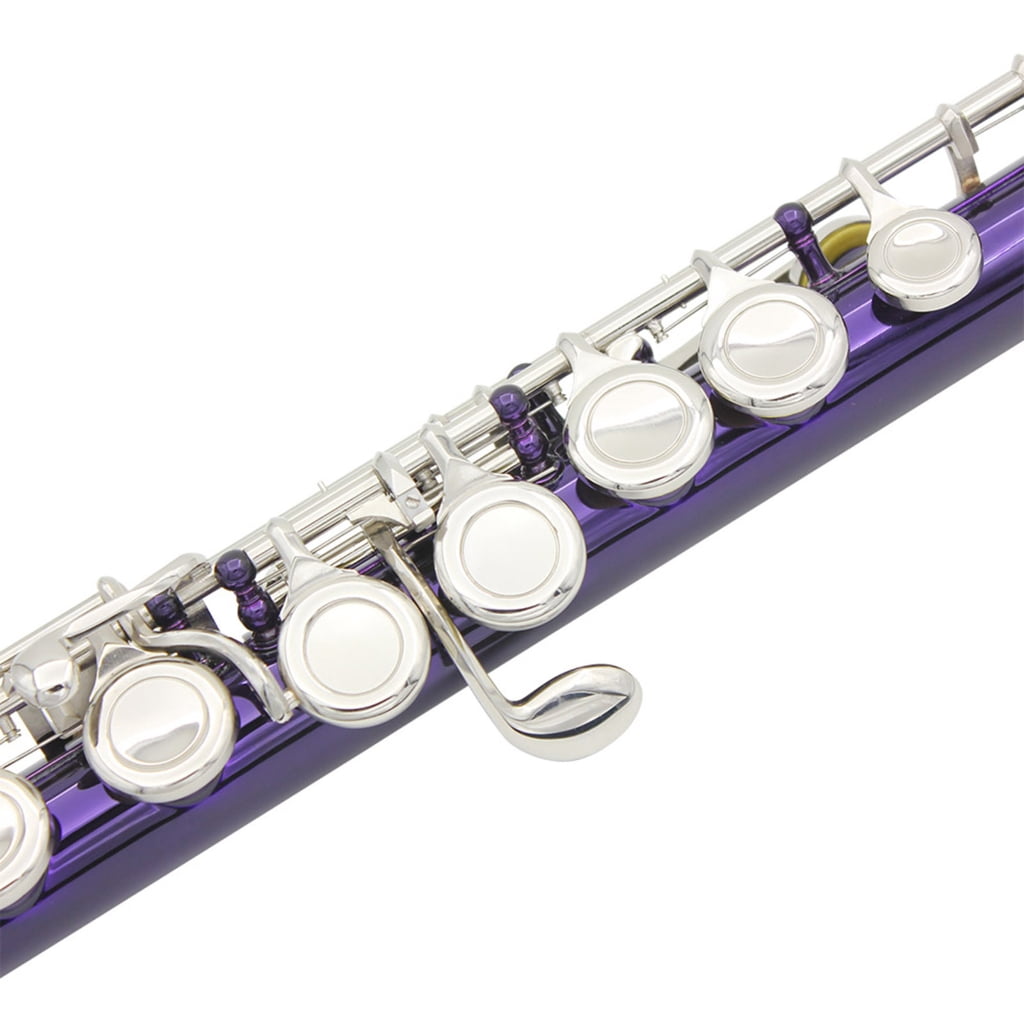 Closed Hole C Flute 16 Keys Flutes Professional Horizontal Flute With Bag Cloth Stick Woodwind Instrument
