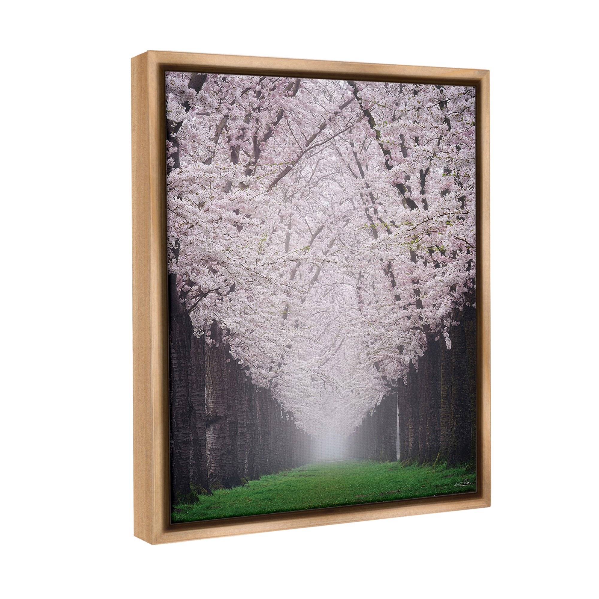 Stupell Industries Cherry Blossom Grove Landscape Photography Brown Floater Framed Canvas Art Print Wall Art, 17 x 21
