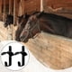 thumbnail image 5 of 2 Juegos Soporte para Bridas de Caballo Percha para Montura en Pared Organizadores de Cabezadas y Riendas Colgador de Accesorios Ecuestres Metálico, 5 of 7