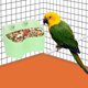 thumbnail image 1 of Comedero montable para loros verdes, cuenco de alimentación, plato de agua para comida, taza, juguete para pájaros para mascotas pequeñas, Chinchilla, 1 of 9