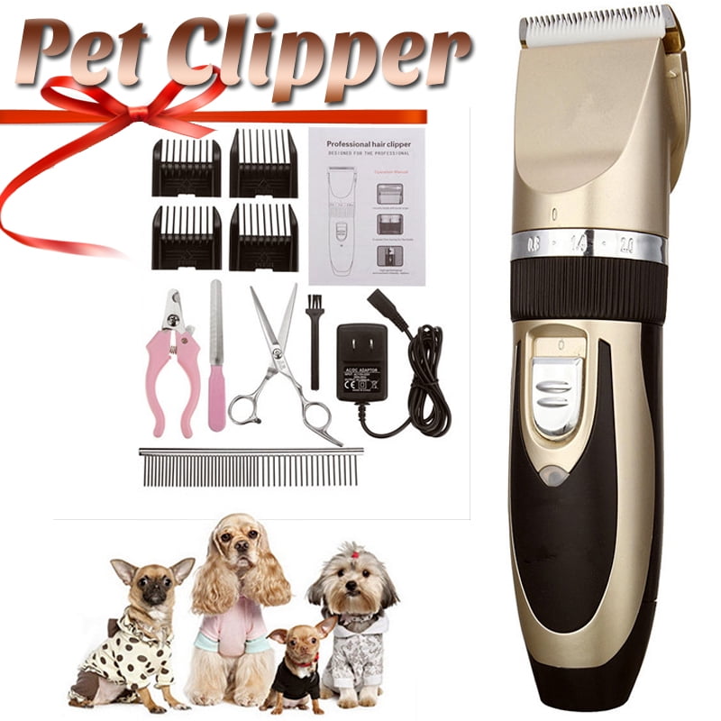 quiet electric toothbrush for dogs