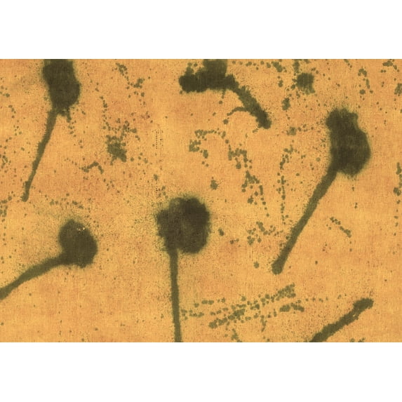 Ahgly Company Indoor Rectangle Abstract Brown Modern Area Rugs, 6' x 9'